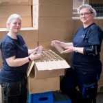 Qualitätssicherung-Karriere